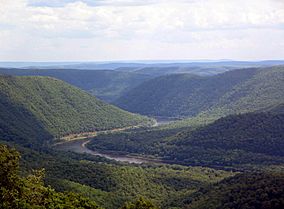 West Branch Susquehanna River, east from Hyner View.JPG