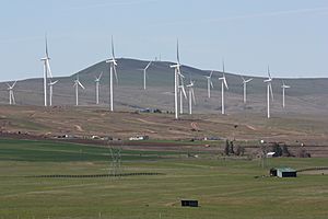 Wind farm 7966