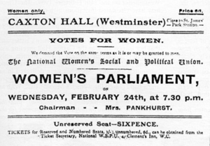Womens Parliament 24 Feb 1909