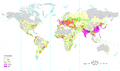 World population density 1994