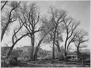 "At Taos Pueblo (National Historic Landmark)." New Mexico, 1933 - 1942 - NARA - 519986