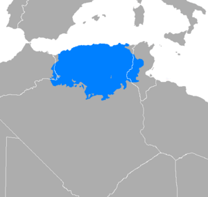 Árabe argelino.png
