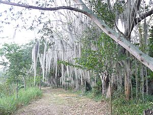 20100116 Sonso 002