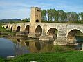 2014-04-14 Norte de Burgos 143 - Frías (15877577282)