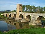 2014-04-14 Norte de Burgos 143 - Frías (15877577282).jpg
