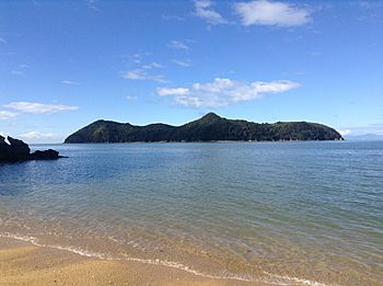 Adele Island Abel Tasman.jpg