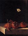Adriaen Coorte - Three Medlars with a Butterfly - WGA05210