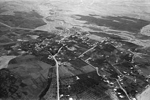 Air views of Palestine. Air route following the old Jerusalem-Jericho Road. Modern Jericho. Taken above the Ain Sultan road looking S. LOC matpc.22116