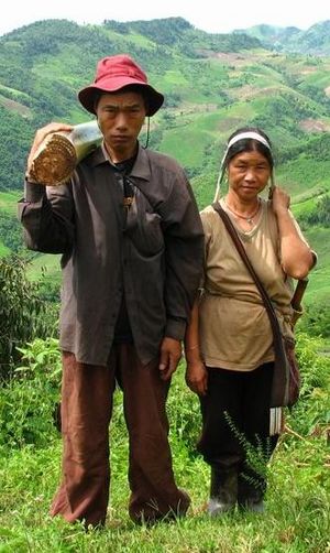 Akha man and woman in northern Thailand – husband carries stem of banana-plant, which will be fed to their pigs