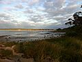 AlbanyFishTrap2