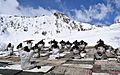Army Jawans performing Yoga, on the occasion of the 3rd International Day of Yoga – 2017, at Siachen on June 21, 2017 (1)