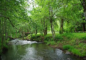 Baker Creek and bridge at Ed Grenfell County Park - Oregon.JPG