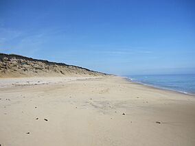 Beach (6310524588).jpg