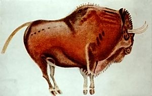 Bisonte de Altamira