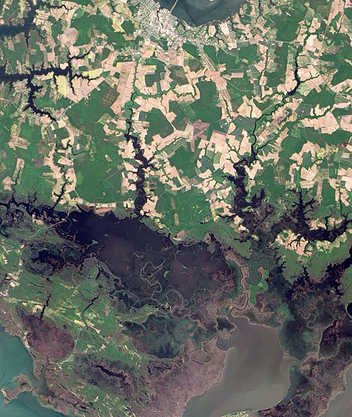 Blackwater National Wildlife Refuge