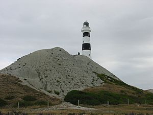 Cape Campbell Lighthouse.jpg