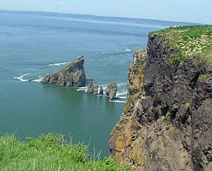 Cape split01