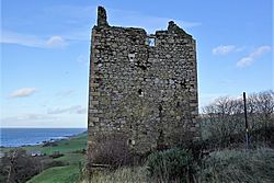 Carleton Castle tower ruins from the south-east, Little Carleton Farm, Lendalfoot, South Ayrshire.jpg