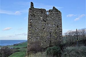 Carleton Castle tower ruins from the south-east, Little Carleton Farm, Lendalfoot, South Ayrshire