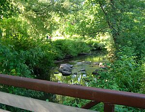 Cascreek1