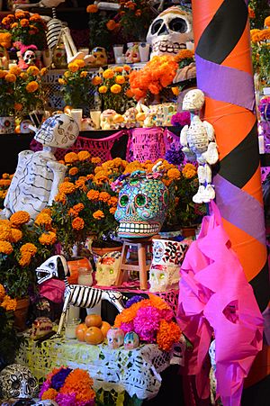 Catrina 3