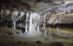 Cavern full of stalactites and stalagmites in Metro Cave Te Ananui Cave