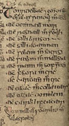 Clann Domhnaill pedigree (National Library of Ireland MS G 2, folio 25v)