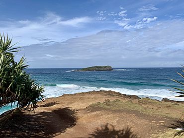 Cook Island seen from Fingal Head, New South Wales 01.jpg