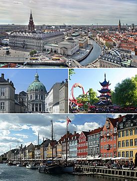 Copenhagen Collage2.jpg