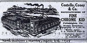 Costello, Cooey & Co. Fine Chrome Kid. Bridesburg, Philadelphia. 1908