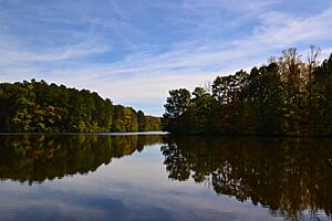 Cub Lake, Tennessee