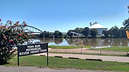 White River, city park, bridge, and grain bins