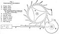 Diagram of the chronometer detent escapement Britten's Clock and Watchmaker's Handbook 9th Edition 1896