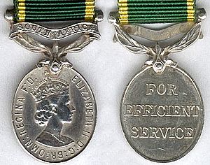Efficiency Medal (South Africa) Elizabeth II v1