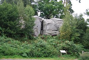 Eridge Rocks - geograph.org.uk - 1492841.jpg