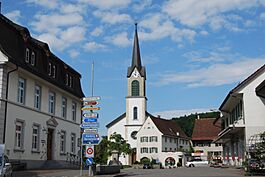 Erlinsbach SO vilagha placo 099.JPG