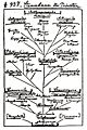 Ernst Haeckel - Tree of Life