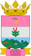 Official seal of Guayabetal