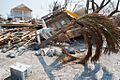 FEMA - DSC7043 -Big Pine Key neighborhood devastated by Irma