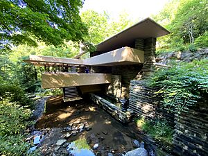 Fallingwater 20200718 2