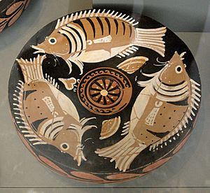 Fish plate Antikensammlung Berlin 1984.57