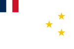 Flag of the State of Aleppo