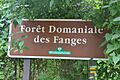 Forêt domaniale des Fanges (1)