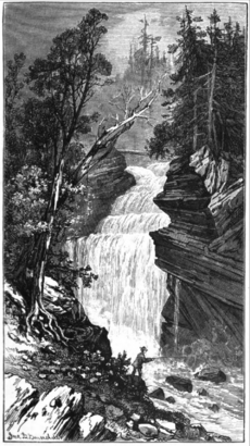 Ganoga Falls 1875