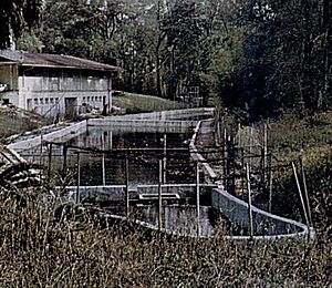 GlenSprings1977