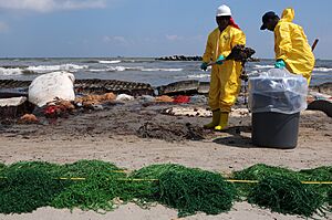 HSE workers clean up Port Fourchon beach 2010-05-23