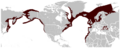 Harbour Porpoise Phocoena phocoena distribution map