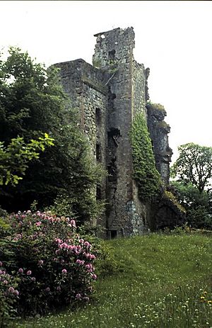 Invergarry Castle - geograph.org.uk - 1104838