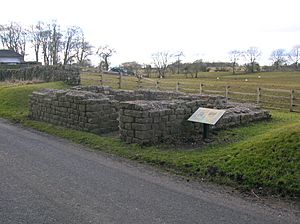 Leahill Turret 51B, looking East. Hadrian's Wall