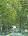 Legislative Route 1 Sycamore Allee Halifax, Pennsylvania (1 of 8)
